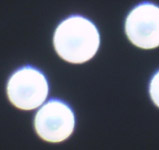 titania-coated-hollow-glass-microspheres